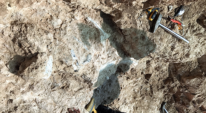 Avrupalı bilim insanlarından Kırşehir'e yoğun ilgi