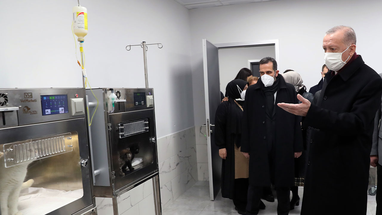 Cumhurbaşkanı Erdoğan, Beykoz'da hayvan barınağını gezdi