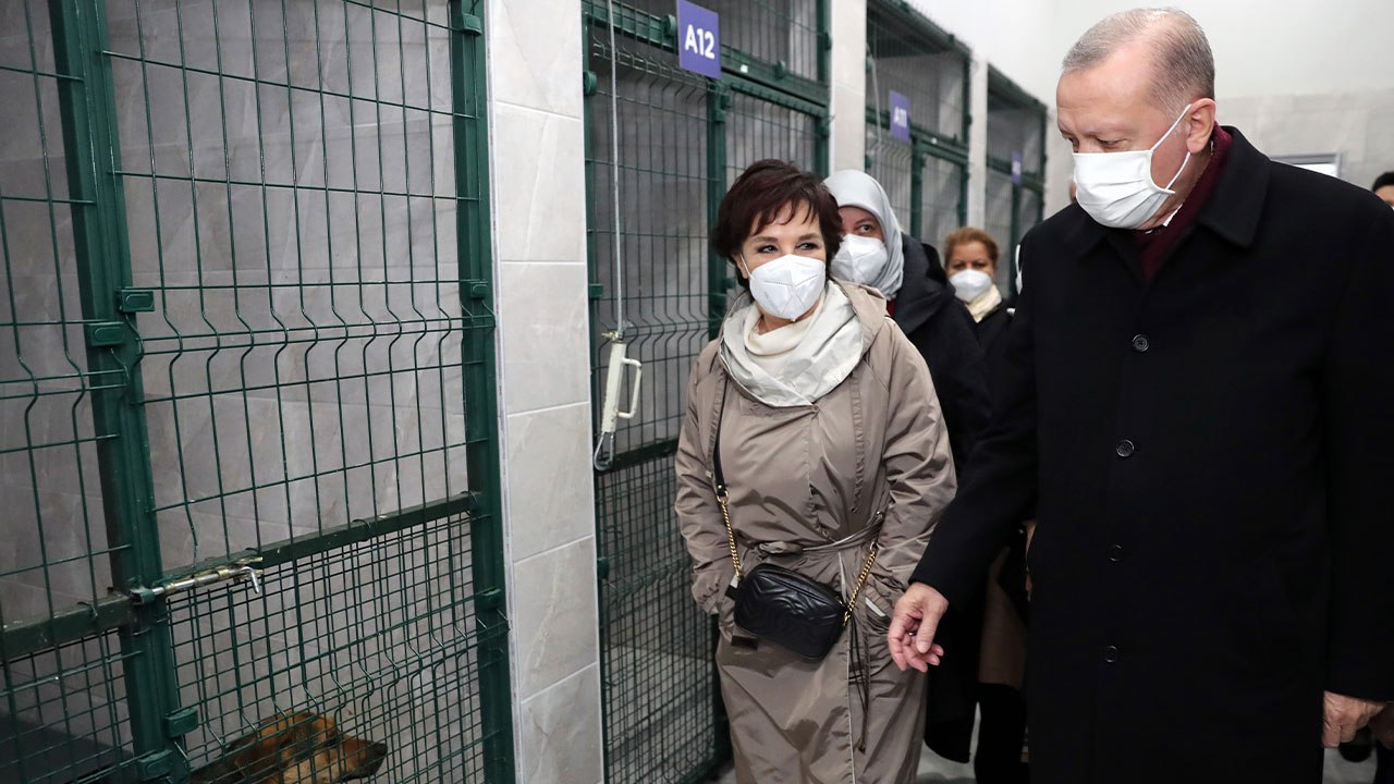 Cumhurbaşkanı Erdoğan, Beykoz'da hayvan barınağını gezdi