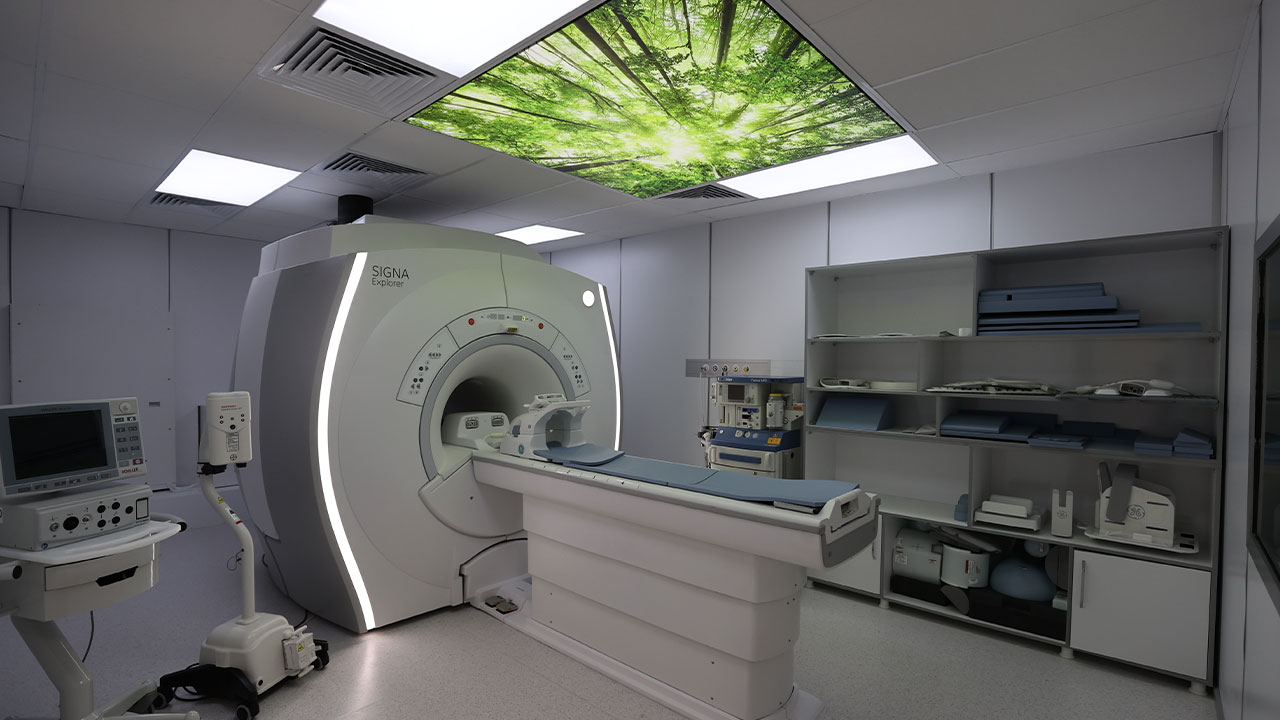 Son dakika... Erdoğan, gençler Türkiye'yi terk ediyor diyen muhalefete yüklendi: Her türlü sinsiliği yapıyorlar