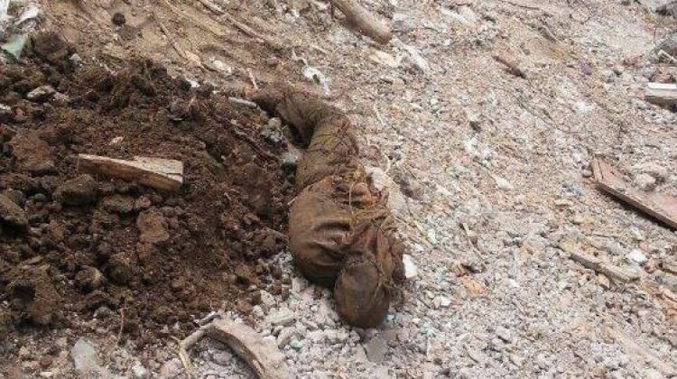 Şırnak'ta kan donduran görüntü! Köpekler buldu...