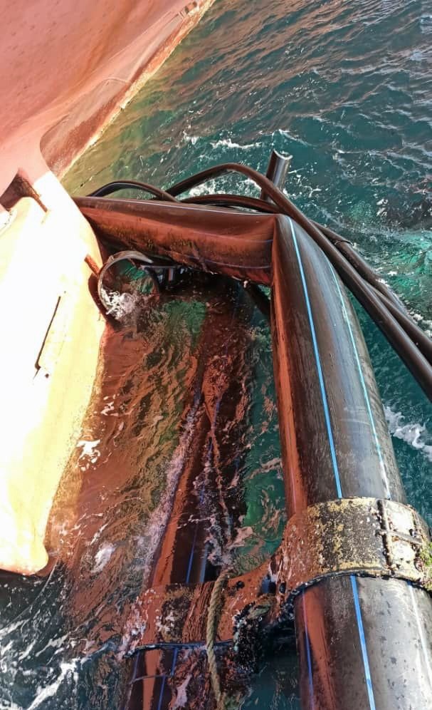 Yük gemisi balık havuza çarptı: 3 balık havuzu zarar gördü 1 milyon balık kaçtı