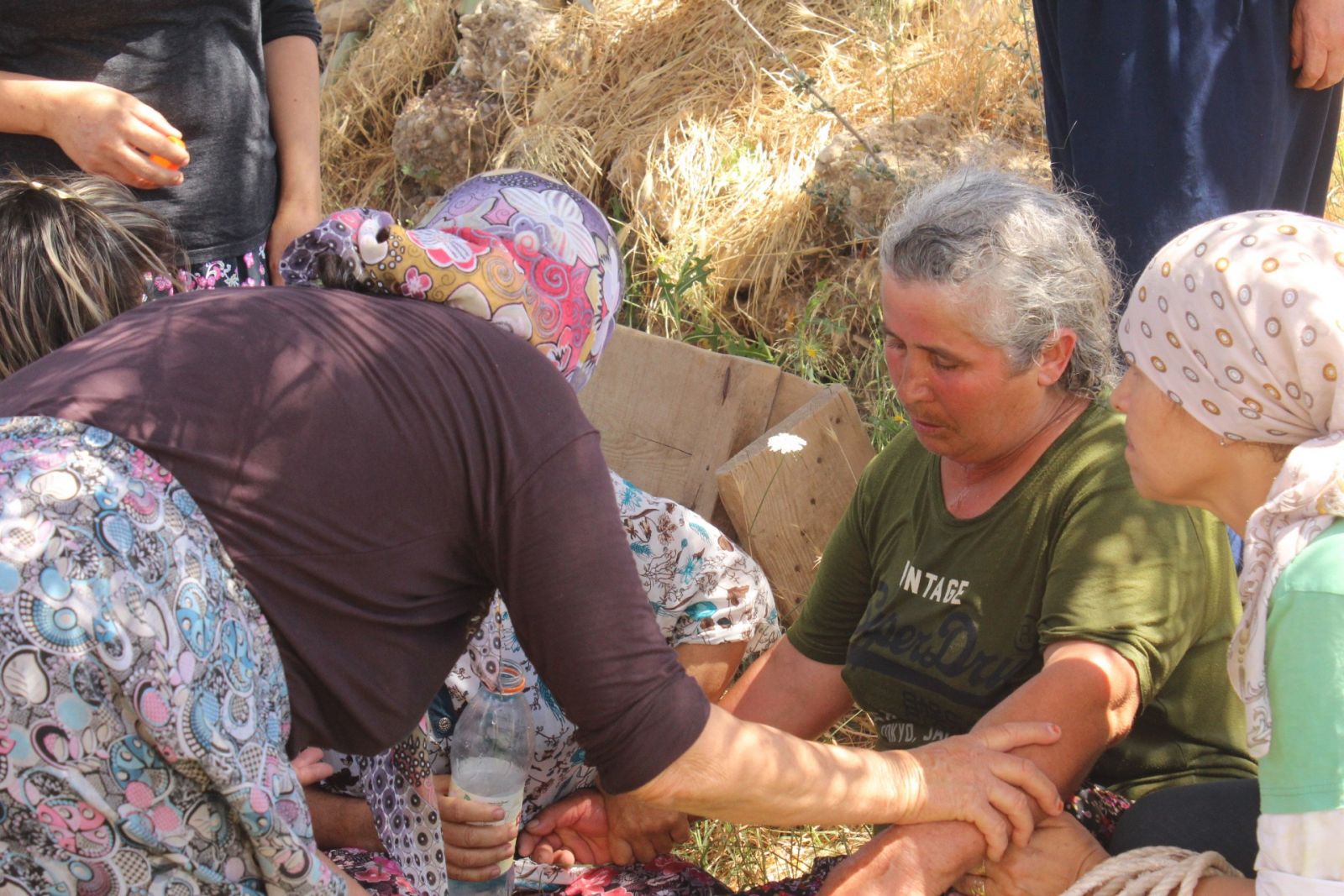 Manavgat’taki yangında 550’ye yakın hayvan telef oldu