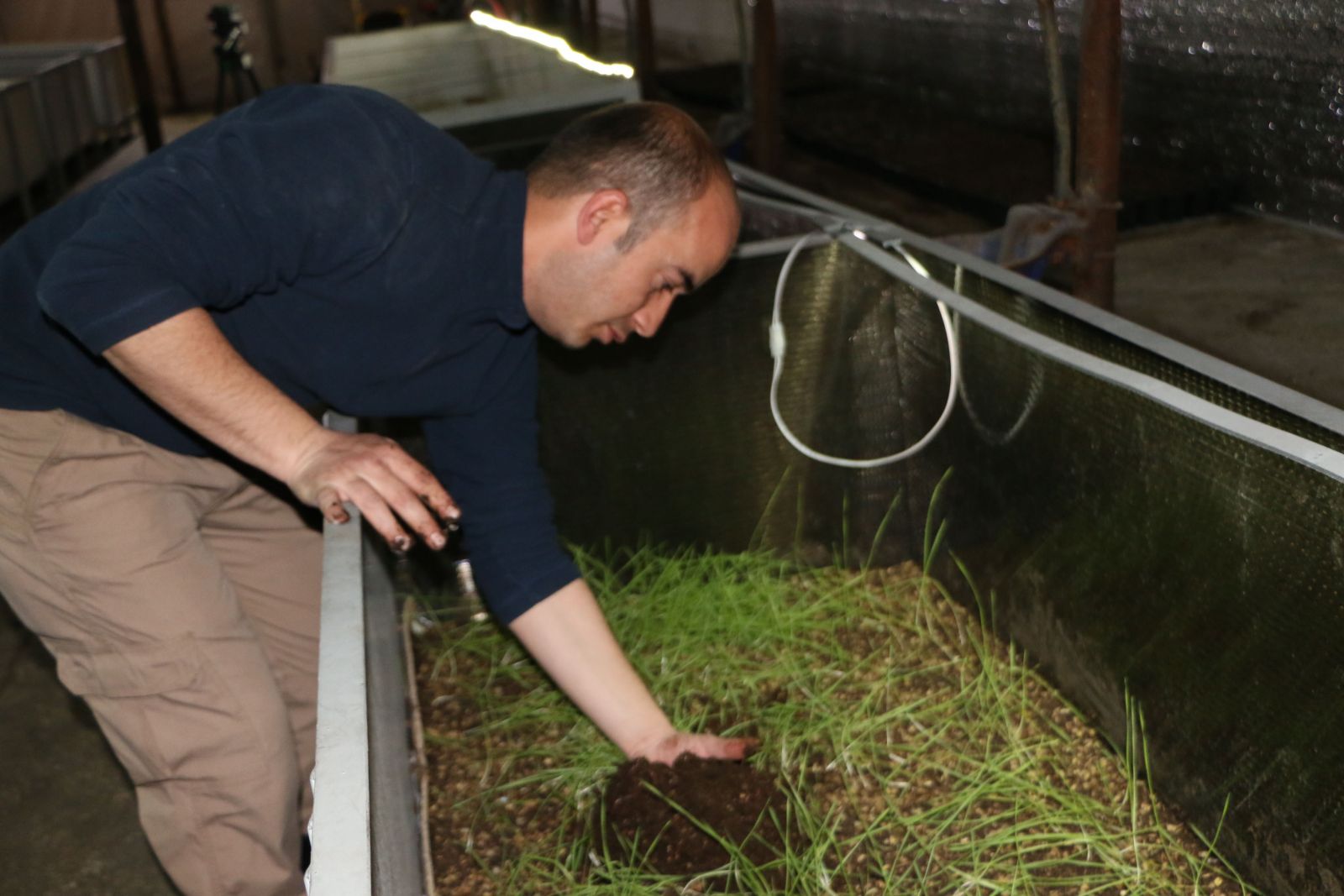 Sağlık memuru 30 milyon solucanı ile gübre üretiyor