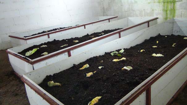 Günde 1 saat çalışıyor! Paraya para demiyor...