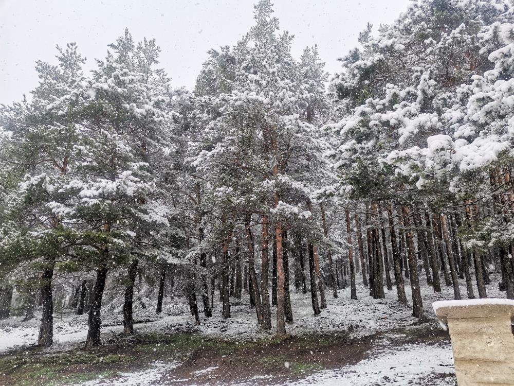 Mayıs ayında kar yağdı, vatandaş şaştı kaldı