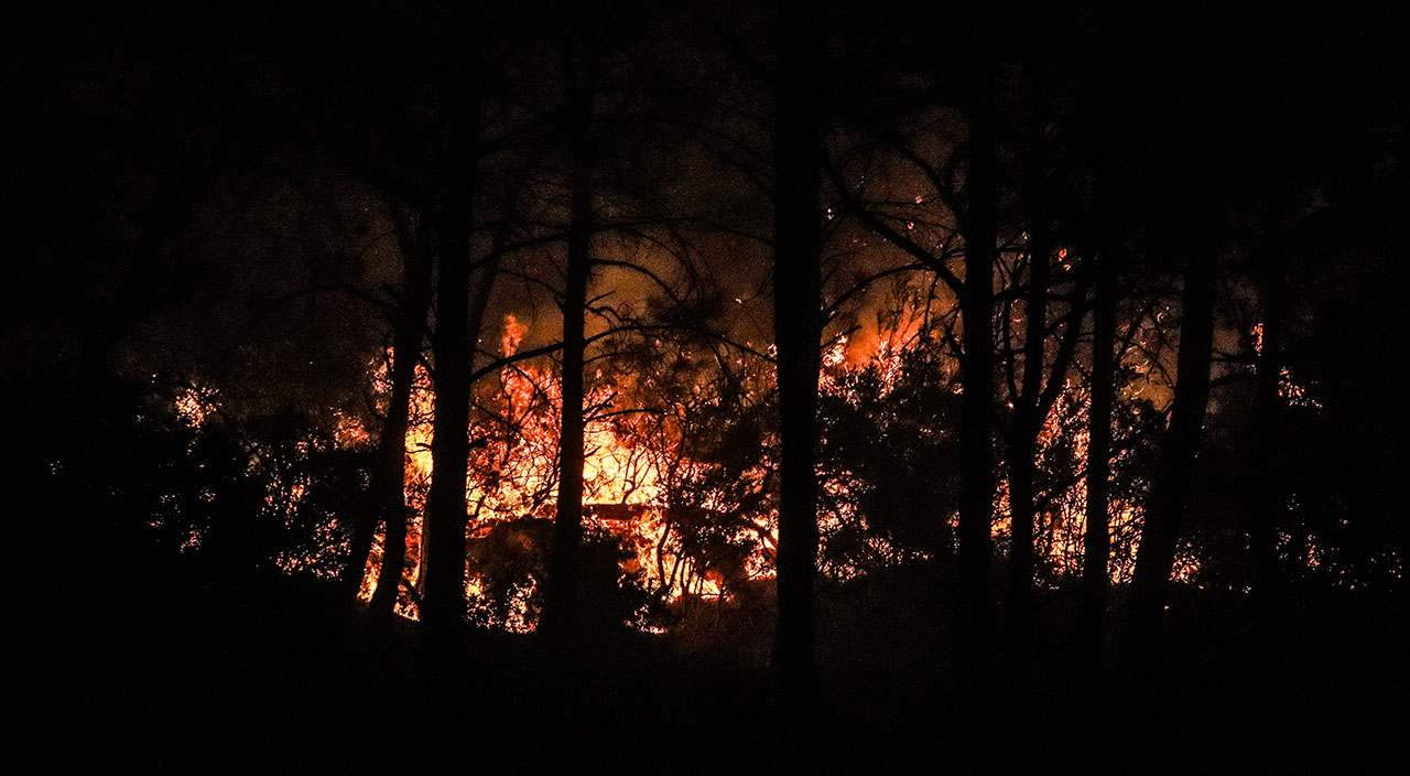 Mersin'deki orman yangınından sevindiren haber! Yangın kontrol altına alındı