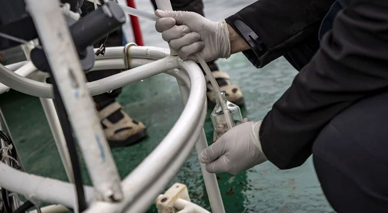 Marmara Denizi alarm veriyor: Oksijen seviyesi kritik seviyede