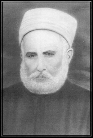 Kitaplar  ve kediler arasında