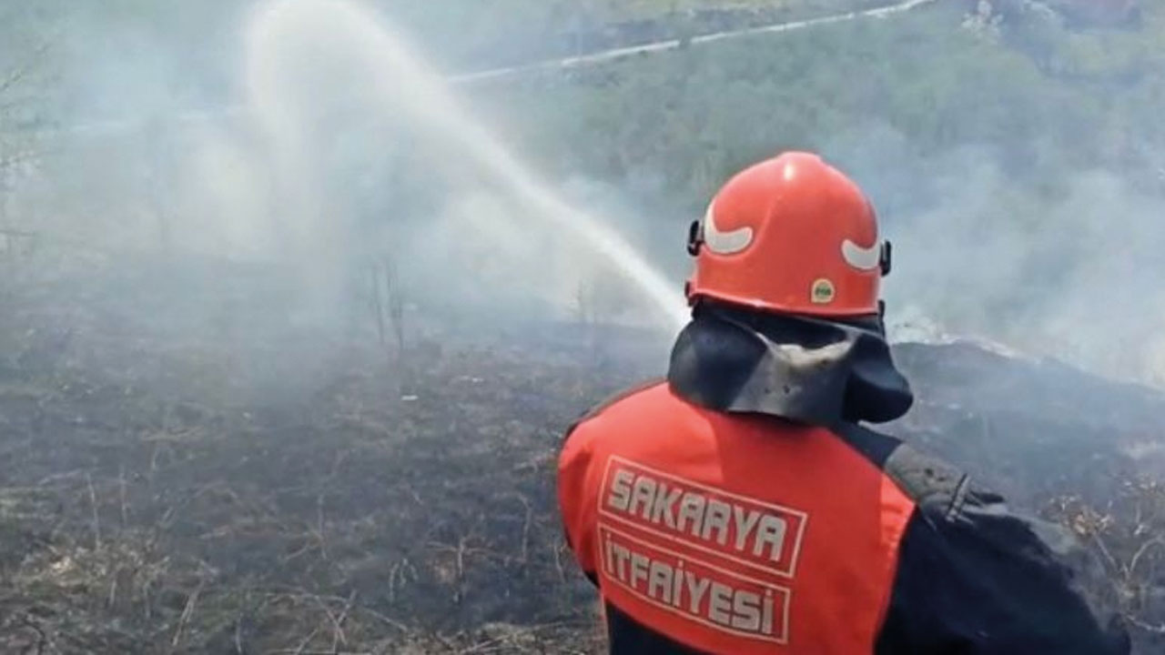 Korkutan yangın: Bir mahalle kül olacaktı