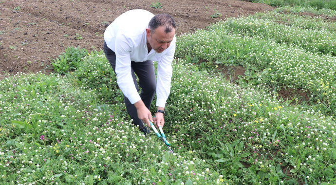 Salebin kilosu bu sene 1000 TL