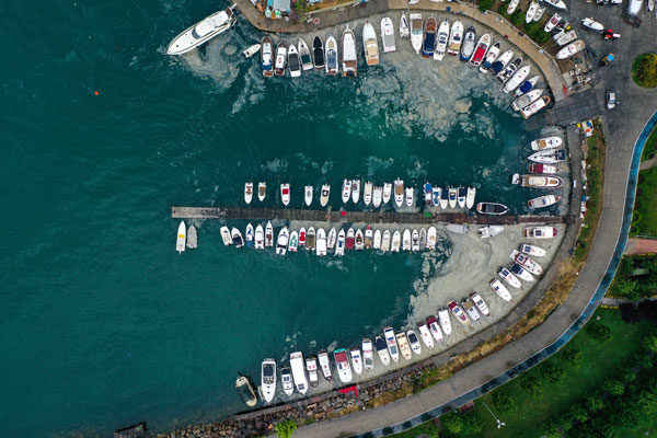 Facia Ege'ye ilerliyor