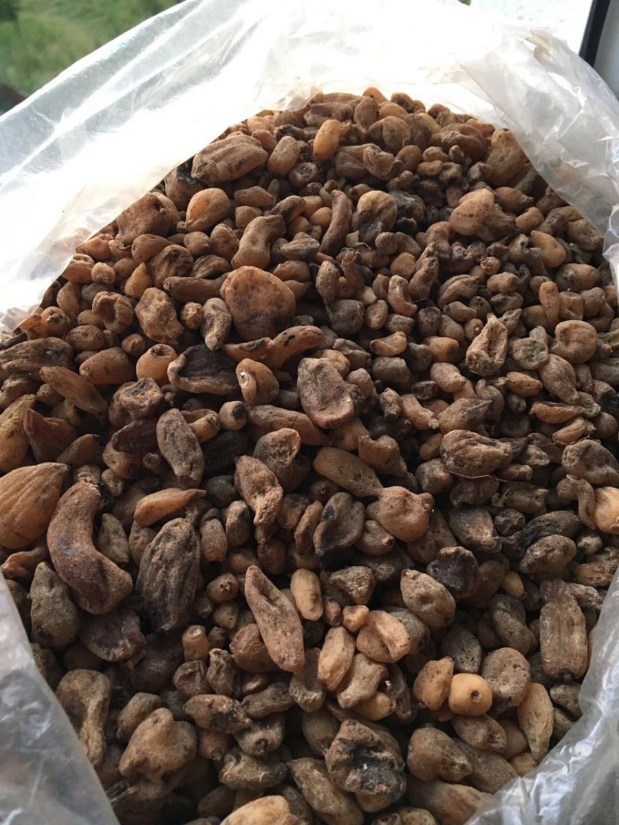 Evinde kurutulmuş yabani orkide bulundu, 40 bin lira ceza yedi!