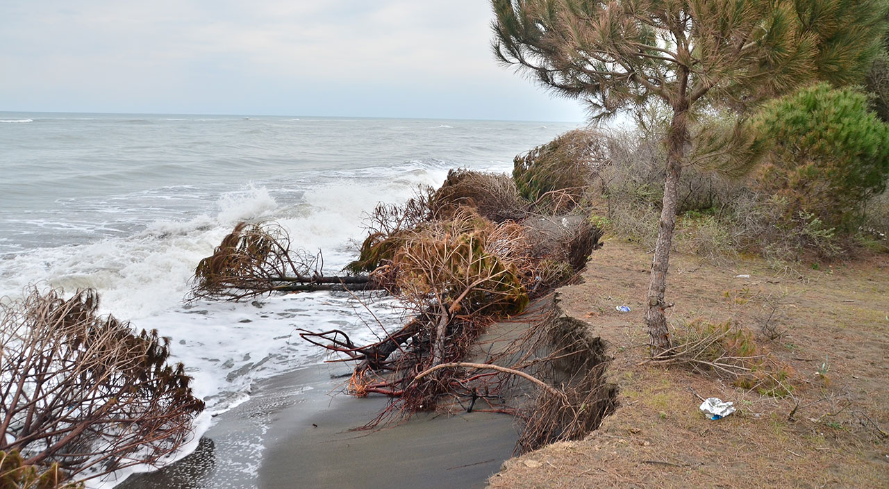 Karadeniz'de alarm: Dev dalgalar kıyıyı yuttu, evler tehdit altında
