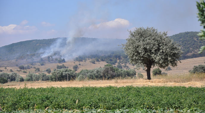 Sandıklı’daki yangında 5 hektar ormanlık alan kül oldu Sandıklı’daki yangında 5 hektar ormanlık alan kül oldu