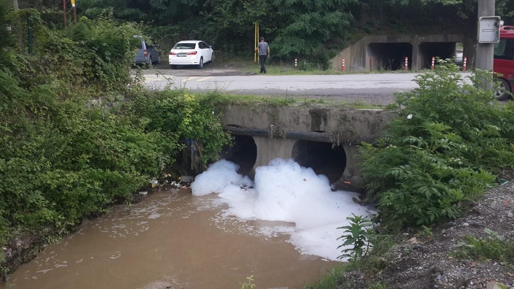 Sapanca Gölü'ne dökülen derede köpük oluştu