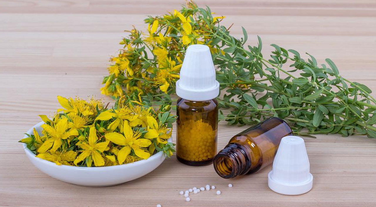 Sarı kantaron otu ve yağı l Sarı kantaron yağının faydaları neler, nasıl kullanılır? Sarı kantaron zayıflatır mı?