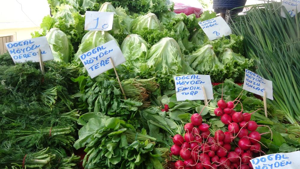 Havaların ısınmasıyla pazarda fiyatlar yüzde 70 düştü