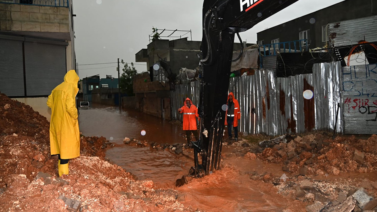 Sağanak yağış sokakları göle çevirdi: Hayvanlar telef oldu, evleri su bastı