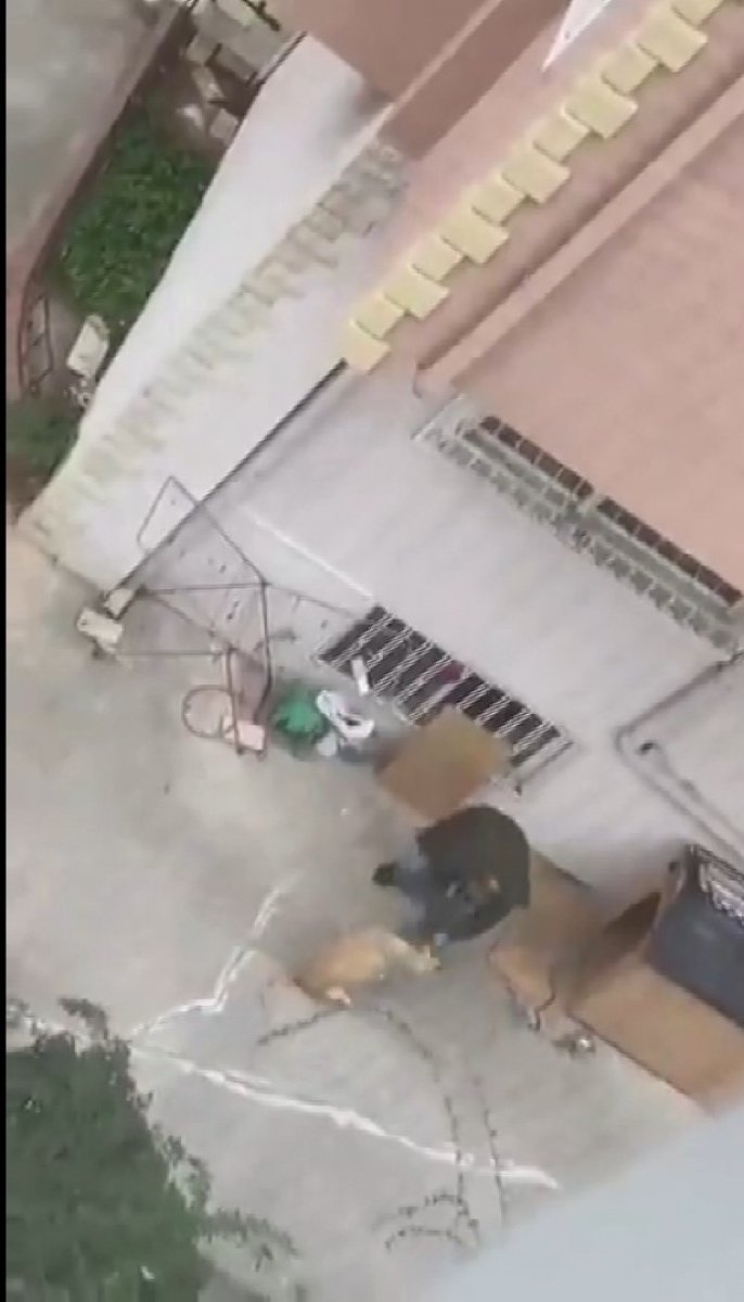 Maltepe’de köpeğini yumruklayan adam gözaltına alındı