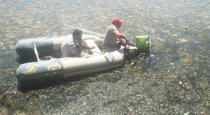 Kızılırmak’tan çıktı, görenler şaşırdı