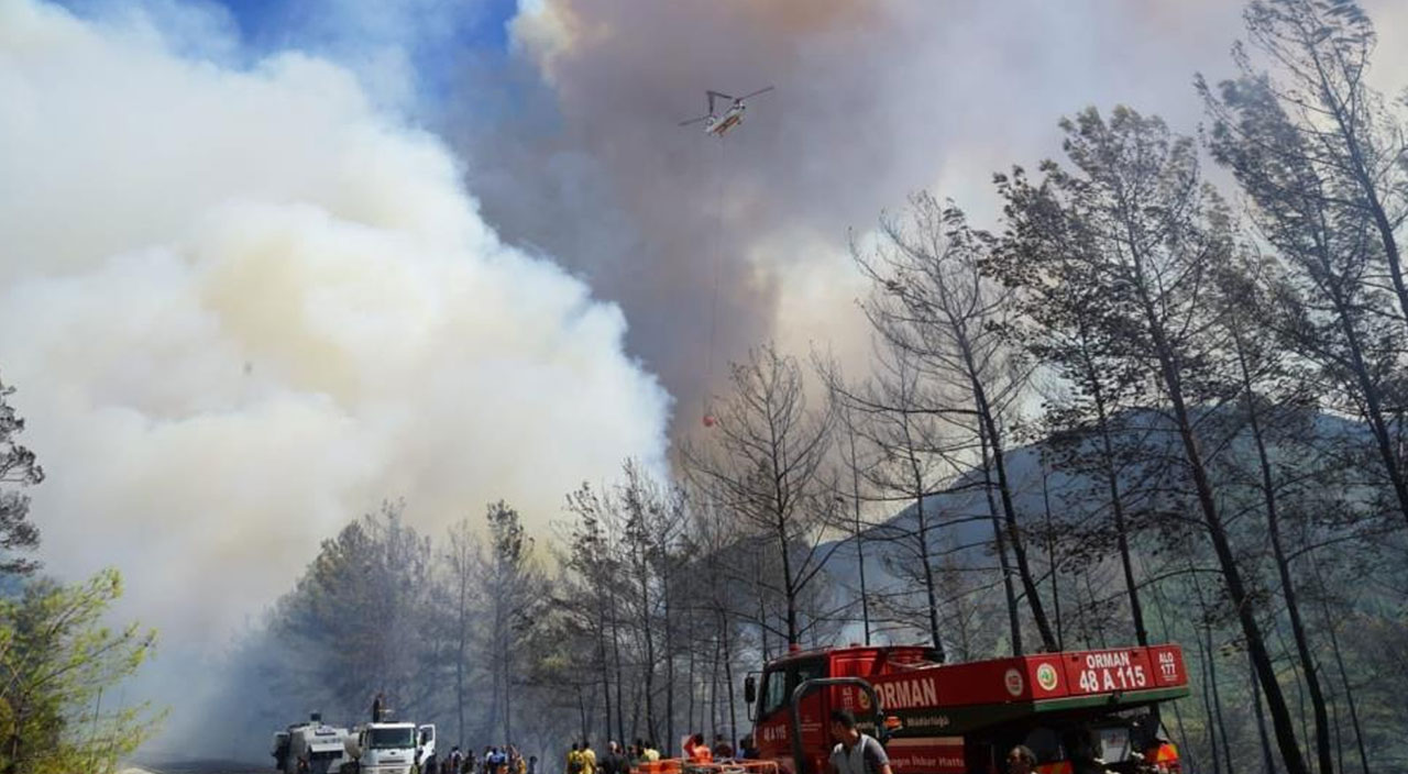 Marmaris'te orman yangınından sevindiren haber! Yangın kontrol altına alındı