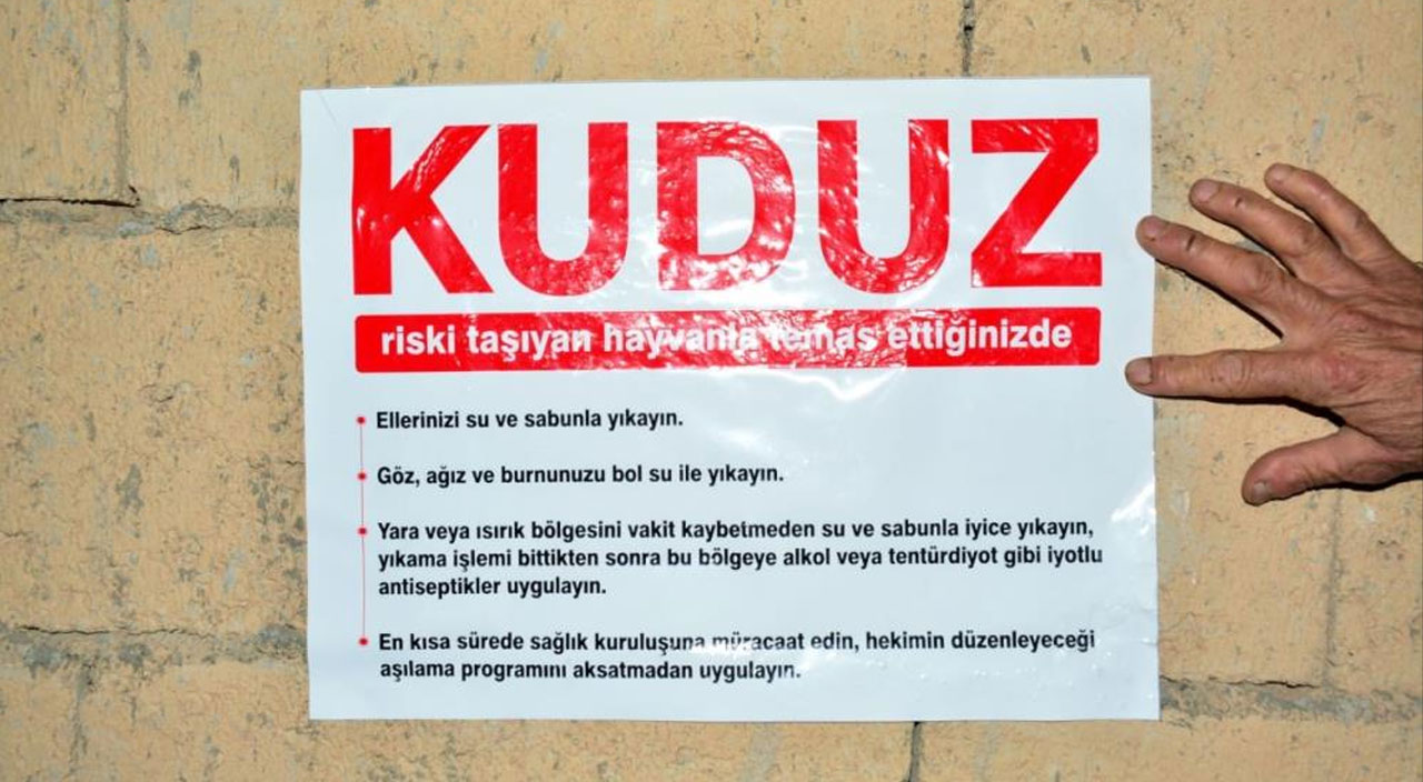 7 vatandaşa saldıran köpek kuduz çıktı, mahalle karantinaya alındı