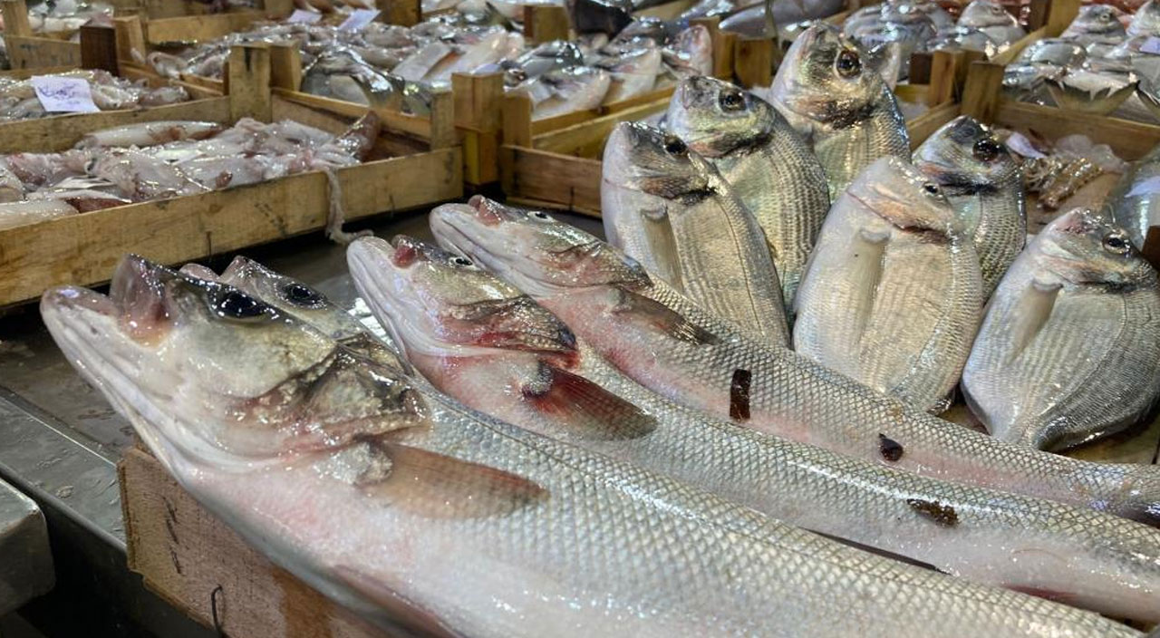 Ağlar mavi sulara kavuştu, tezgahlar balık doldu Ağlar mavi sulara kavuştu, tezgahlar balık doldu