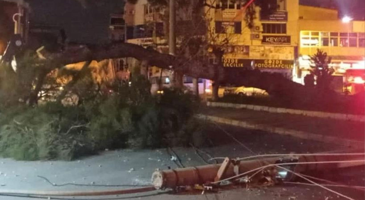 İzmir’de fırtına: Elektrik direkleri devrildi ağaçlar kökünden söküldü