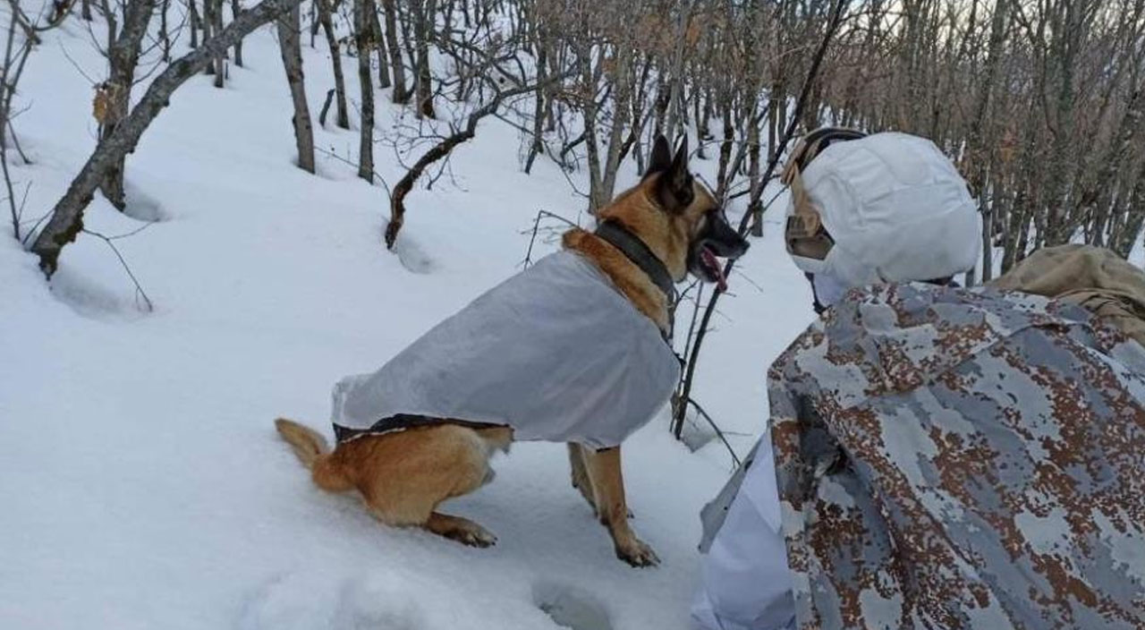 İçişleri Bakanlığı:Eren Kış-21 Operasyonu başlatıldı