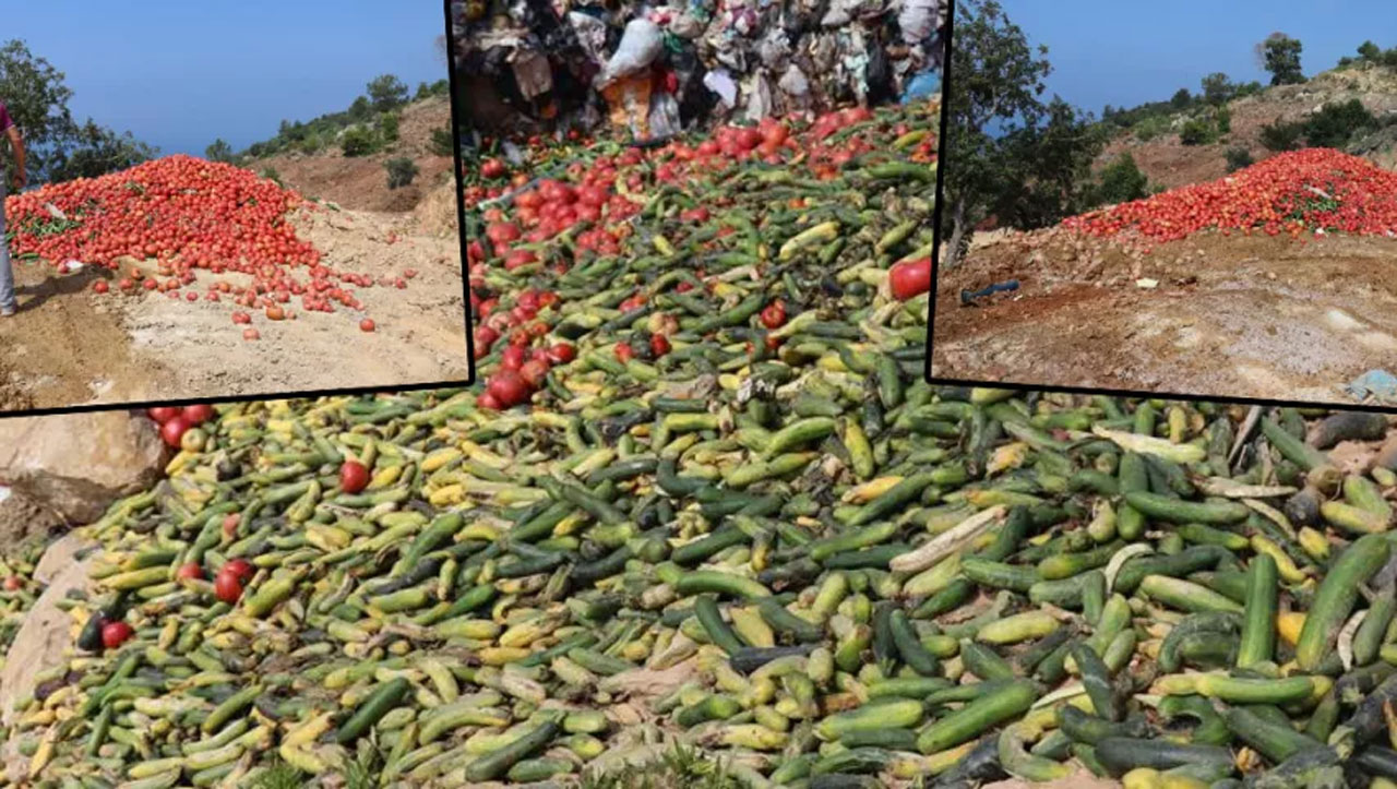 Antalya'da tonlarca sebze araziye döküldü