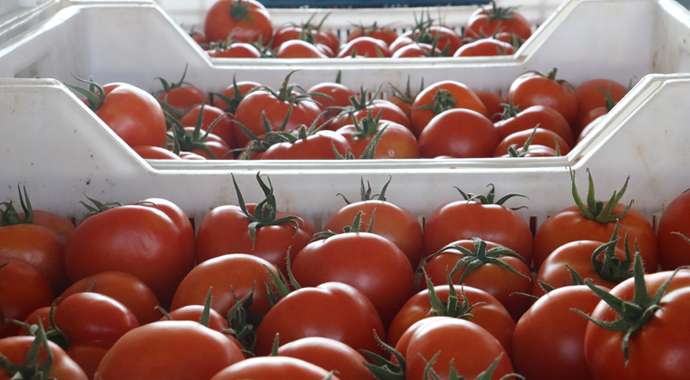 Tanzim noktaları etkisini göstermeye başladı: Sebze fiyatları düştü