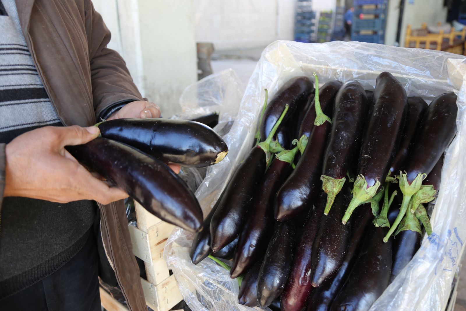 'Sebze fiyatları artık normal seviyelerine iniyor'