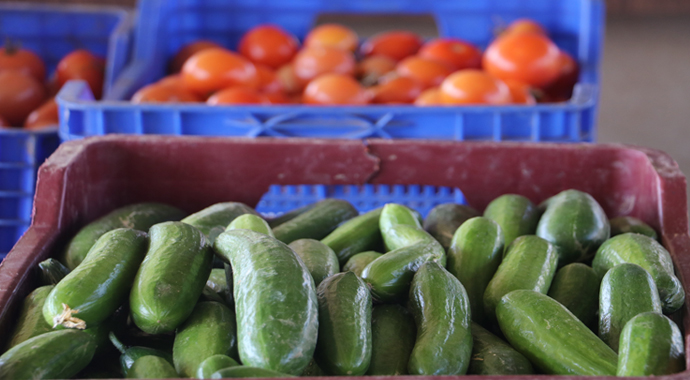 Tanzim noktaları etkisini göstermeye başladı: Sebze fiyatları düştü
