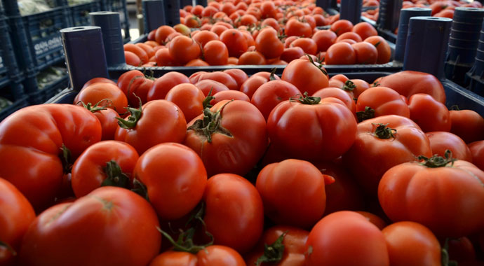 Adana'da domates ve salatalığın kilosu 1 liraya düştü