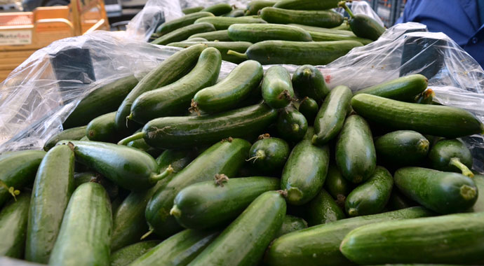 Adana'da domates ve salatalığın kilosu 1 liraya düştü