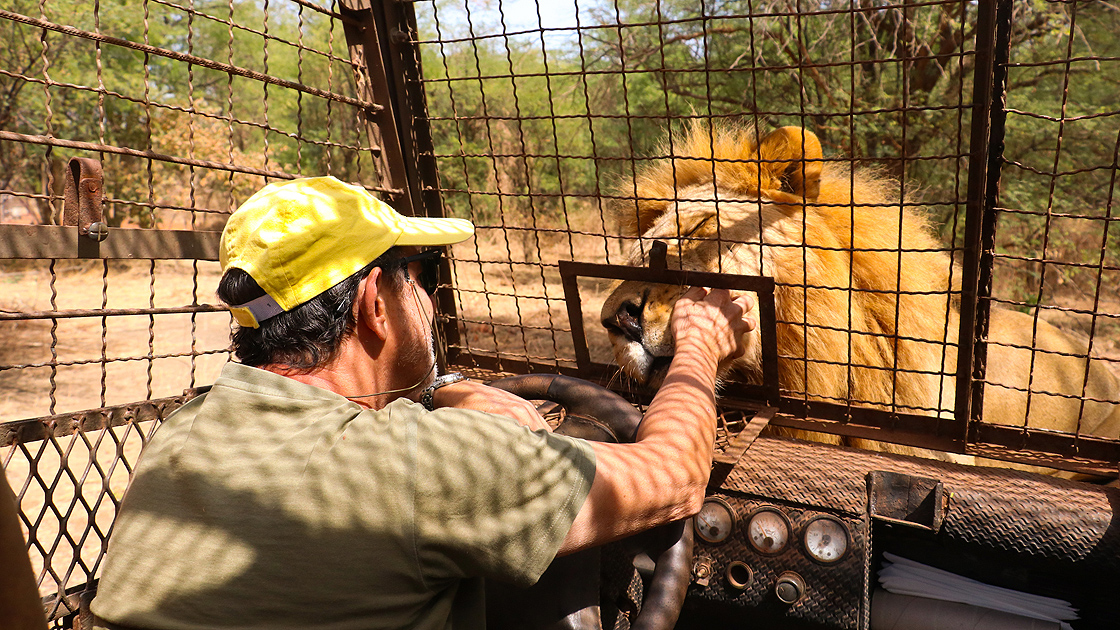 Burada roller değişiyor: İnsanlar kafeste