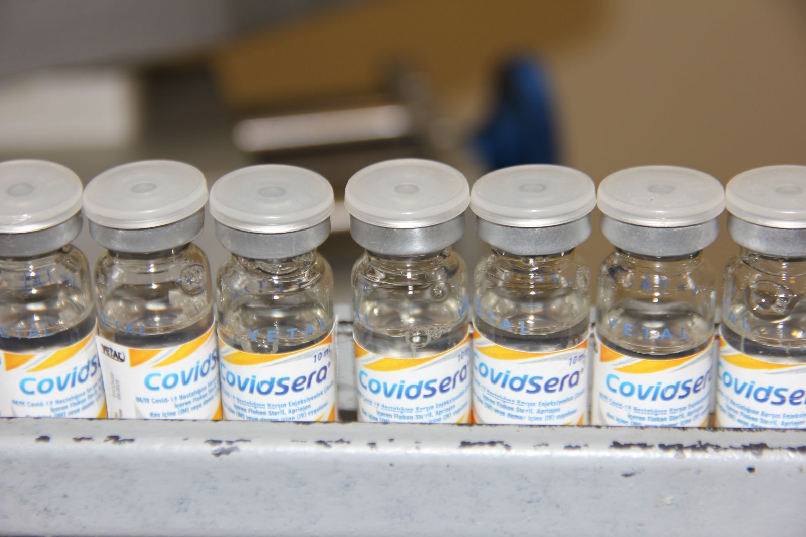 Türkiye'de ve dünyada bir ilk! Atlar Covid-19 antikoru üretti