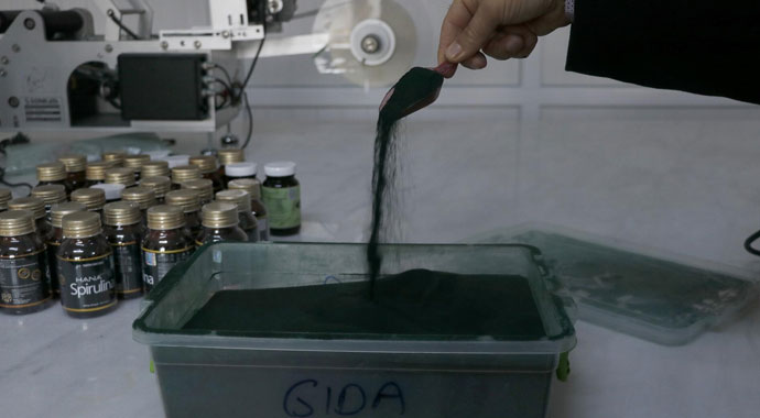 Muğla'da serada üretiyor! 6 ülkeye ihraç ediyor