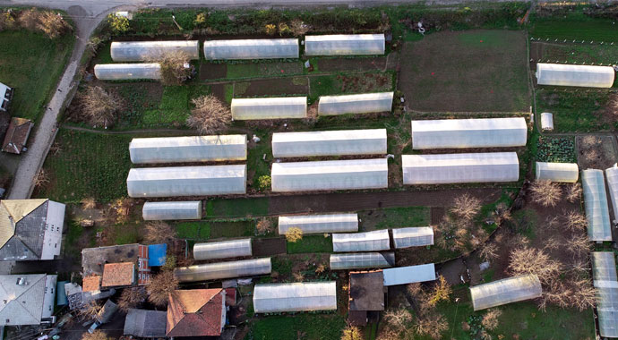 İş yerini kapatıp köye yerleşti, 11 sera kurdu! Siparişlere yetişemiyor...