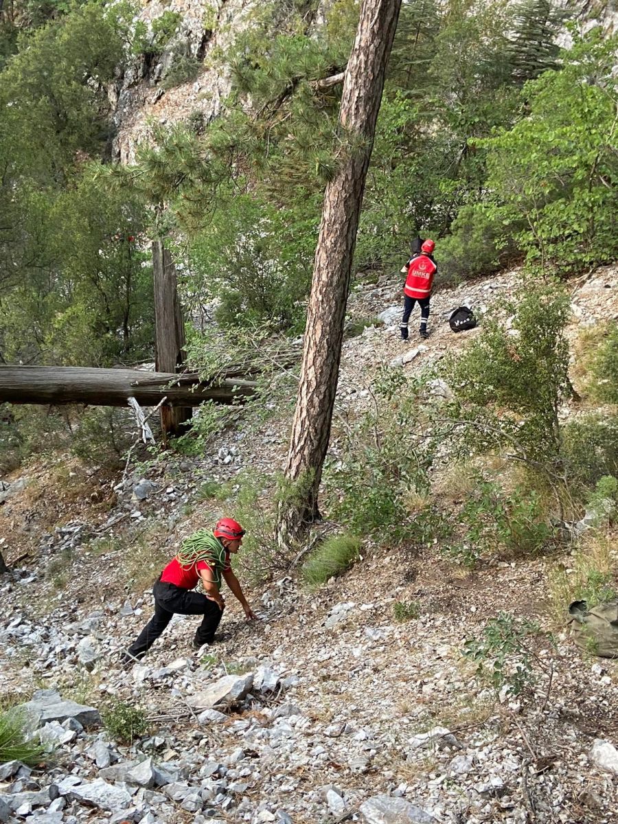 Ot toplarken kayalıklardan uçuruma düşen kişi aranıyor