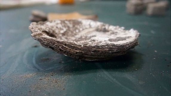 Çiftlikten Roma eserleri çıktı