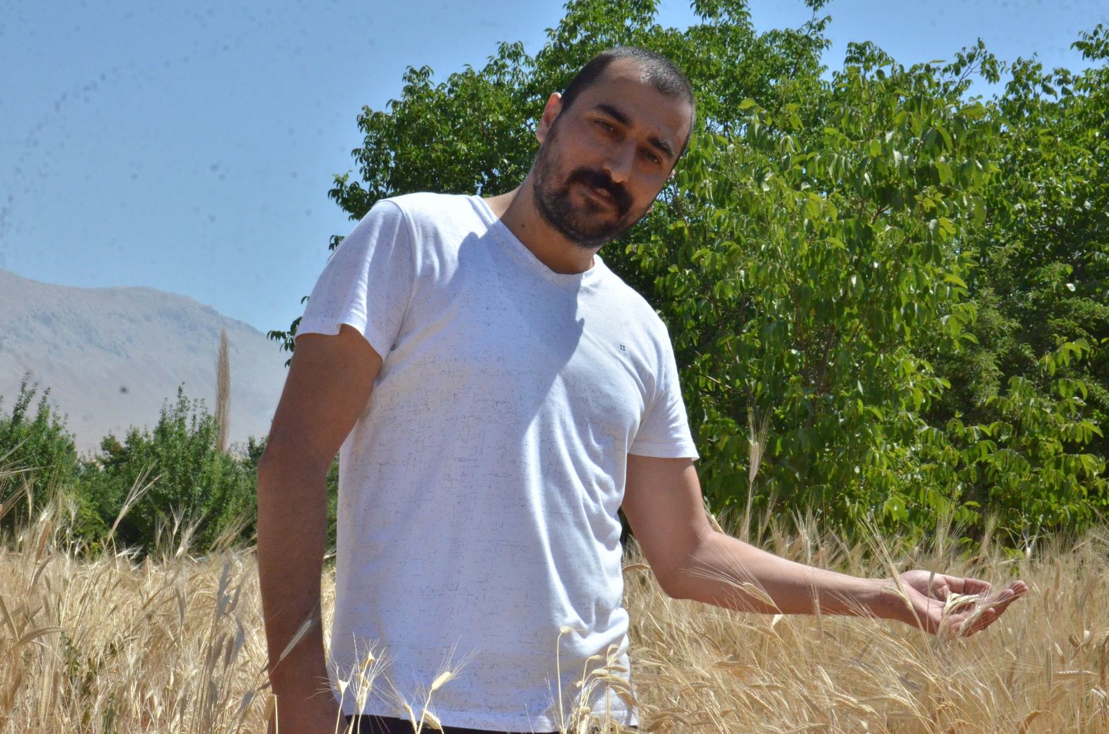 12 bin yıldır genetiğiyle oynanmayan ata mirasını kentte ilk kez o ekti! Biçilmeden sipariş yağdı