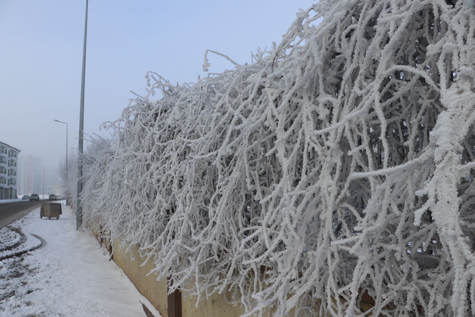 Sibirya değil Sivas! Termometreler eksi 24’ü gösterdi