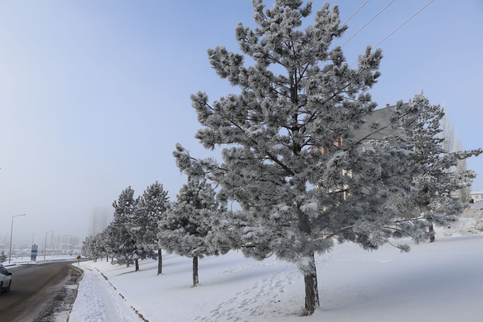 Sibirya değil Sivas! Termometreler eksi 24’ü gösterdi