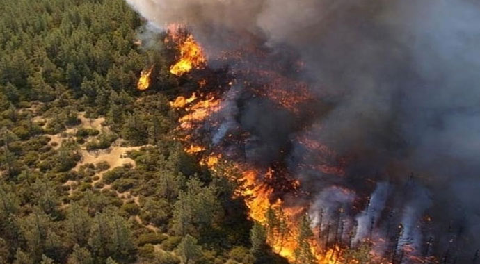 Trump'tan Putin'e Sibirya telefonu