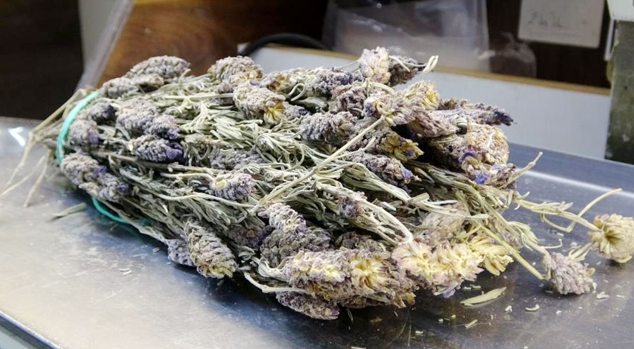 Bu bitki, Ramazan’da sigara tiryakilerinin işini kolaylaştırıyor… Adeta sigaradan tiksindiriyor! Bu bitki, Ramazan’da sigara tiryakilerinin işini kolaylaştırıyor… Adeta sigaradan tiksindiriyor!