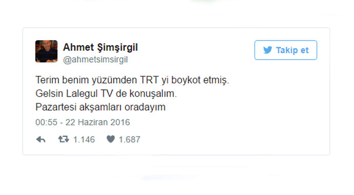 Tarihçi Şimşirgil'den Terim'e cevap