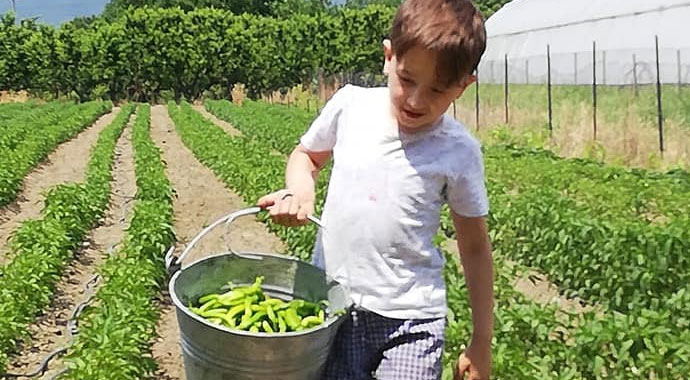 Bursa’da 6 yaşındaki Sinan’a acı veda