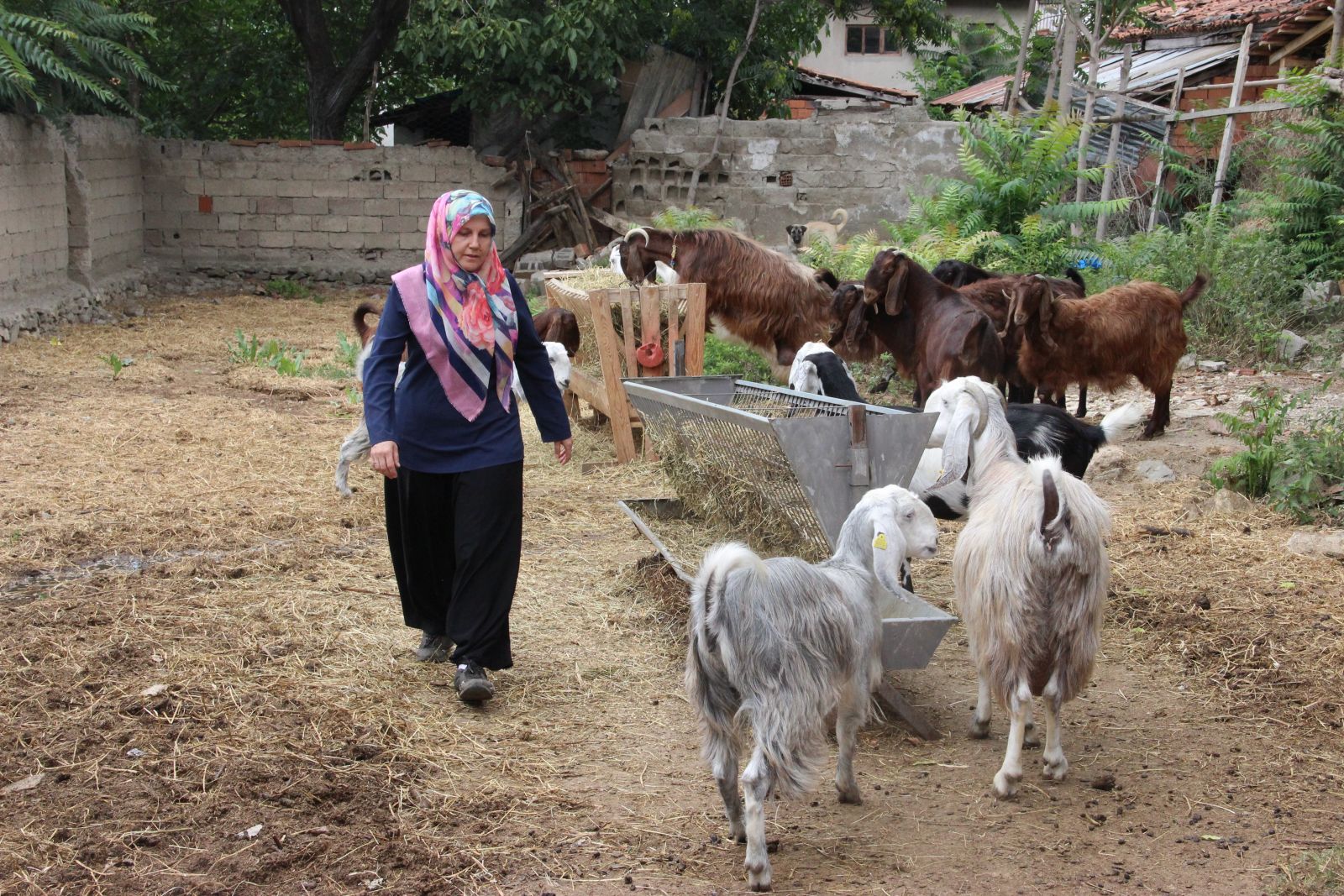 Evinin bahçesinde başladı!  Şimdi siparişlere yetişemiyor...